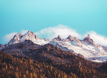 赛事竞猜-2025中国金球奖揭晓：U23国足获组委会特别奖